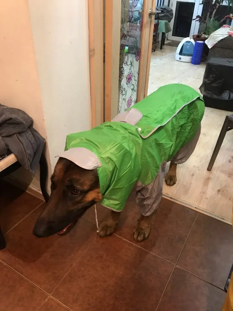 Dog Raincoat Best Dog Raincoat Dog Raincoat with Legs