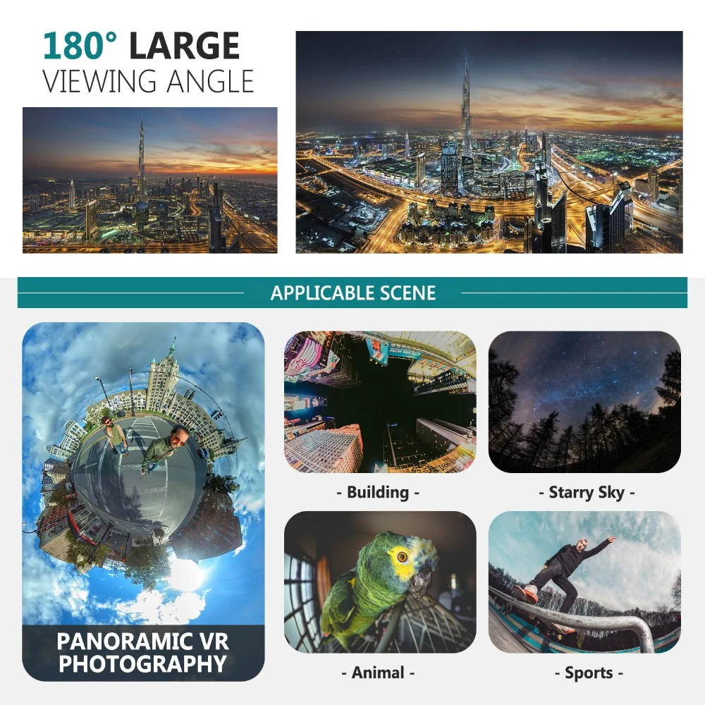 10088614_6
