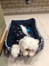 Pet-Dog-Clothes Jacket Coat Puppy Dogs Chihuahua Cotton for Warm Thick And Thin