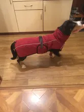 Jackets Dog-Coats Outdoor Winter Pet-Dog Dogs Large Medium for Warm Clothing Kurtka Ubranka