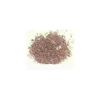 

Psyllium seed