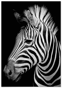 

Panorama Canvas Picture Zebra - Printed on Canvas - Animals Wall Art - Animal Print Pictures - Modern Art Print for Walls - Animal Photos - Home Decoration