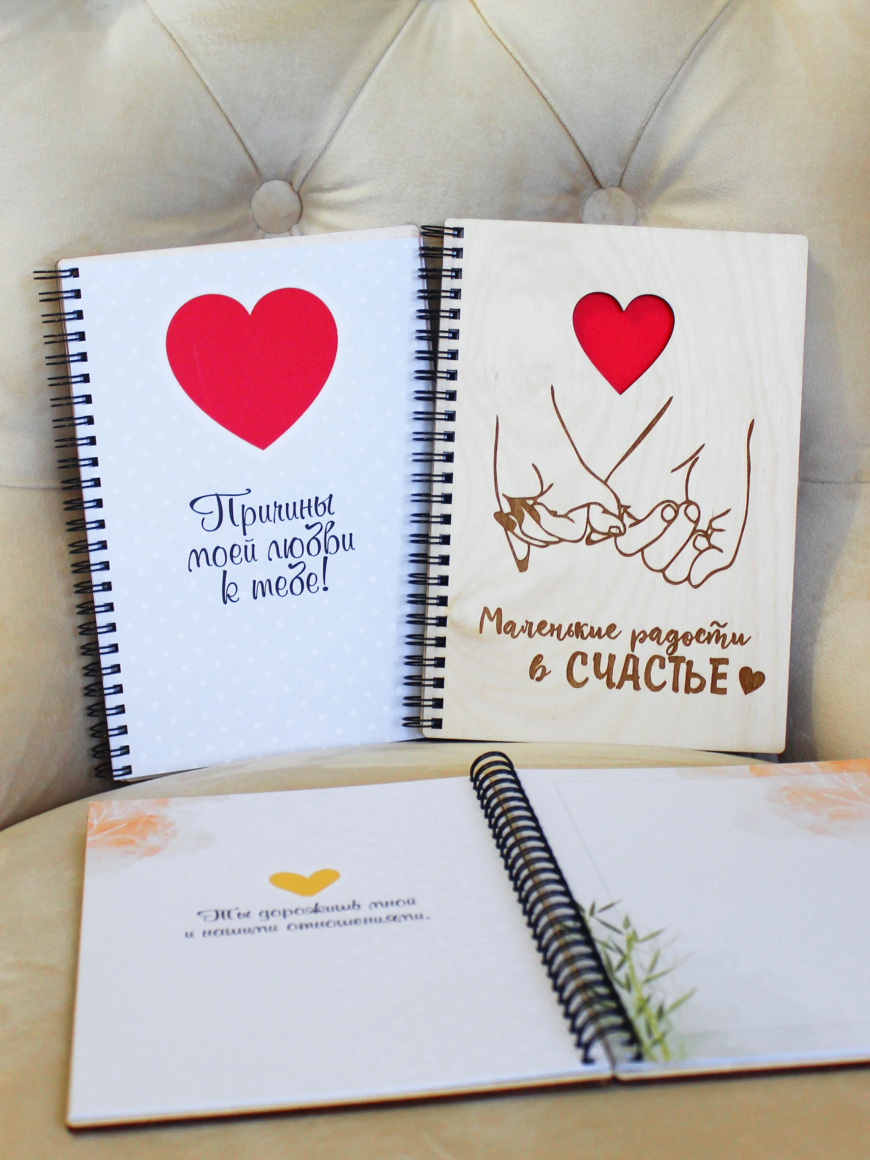 Livre 10 Raisons Pour Lesquelles Je T aime