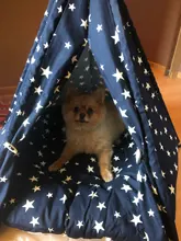 Tienda de campaña portátil para mascotas, casa para animales domésticos con cojín grueso, disponible en 6 colores, para cachorros, perros, gatos, de interior y exterior, ideal para ir de excursión