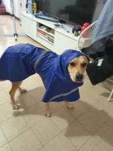 Puppy Raincoat Pets-Clothes Teddy Reflective-Tape Large XS-XXXL Bear-Big