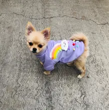 Cute Pet Dog Clothes Puppy sweater T-shirt Shirt Cute Rainbow printing Pajamas Cat 