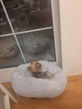 Dog-Bed Kennel Cat House Sleeping-Bag Dogs Large Sofa-Mat Round Fluffy Plush Small Long