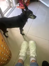 Zapatillas gruesas vulcanizadas informales para mujer, zapatillas de plataforma alta con cordones, color negro, 2020