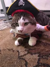 Funny Cat Costumes Pirate Suit Cat Clothes Kitty Kitten Corsair Halloween Costume Puppy