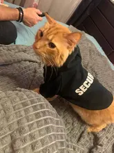 Cat Clothes Pet Cat Coats Jacket Hoodies For Cats Outfit Warm Pet Clothing Rabbit Animals