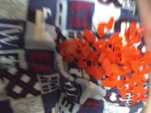 Farming-Equipment Chicken-Goggles 200pcs Pheasant No-Bolt Polyethylene Wholesale