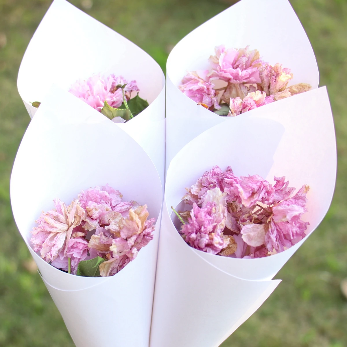 50/100pcs Wedding Cones for Petals Confetti White Laser Hollow Paper Cones  for Dry Flowers Wedding Party Favors Confetti Toss - AliExpress