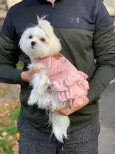 Warm Pet Dog Dress Vest Jacket For Dogs Cats Winter Chihuahua Yorkies Clothes Maltese