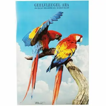 

POSTERS and LAMINAS SCARLET MACAWS