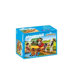 

PICNIC with pony and cart 6948