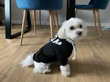 Dog Hoodies Jacket Costume Coat French Bulldog Chihuahua Winter for Pets-Clothing