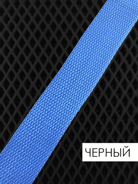 Mats in the Eva prime car for Nissan Tiida I, mats in the salon, car mats, mats, Eva mats, for the machine, Black + Blue