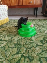 Toy Pet-Toy-Ball Carousel-Ball Track Cat-Supplies Three-Layer-Tower Baby Automatic