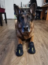 Shoes Reflector Dog-Boots Dogs-Paws Truelove Small Outdoor Large Footwear Pet-Dog Pu