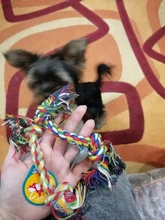 Dog-Rope-Toy Puppies Pet-Chew-Rope Pet-Training-Supplies Bite-Resistant Creative 