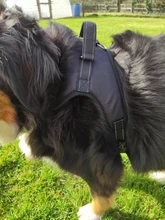 Perro suministros nailon mascota perros arnés Collar de Pet de alta calidad productos harnais pour chie para grandes Grande Mediano pequeño arnés de perro