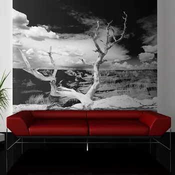 

Wall mural-tree backdrop of the Grand Canyon, Arizona - 350x270 cm