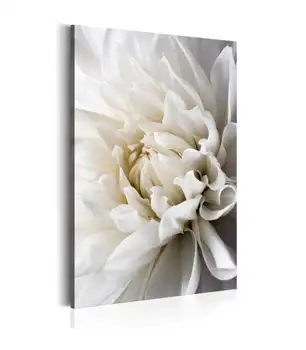 

Picture-White Dahlia
