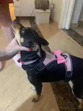 Pet-Supplies Harnesses-Vest Dog-Accessories Pitbull Dogs Reflective Pug Bling Medium