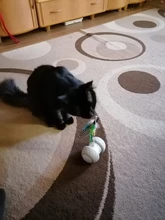 Juguete electrónico interactivo para gatos, automático, giratorio, Led Teaser, divertidos gatos mascotas gato de juguete, palo de juguetes con plumas para gatos, Usb