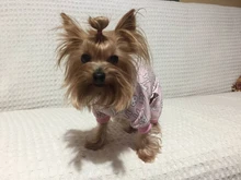 Pyjama Clothing Dog-Puppy-Jumpsuit Sleepingwear Warm Dogs Yorkshir-35 for Small Cat Medium