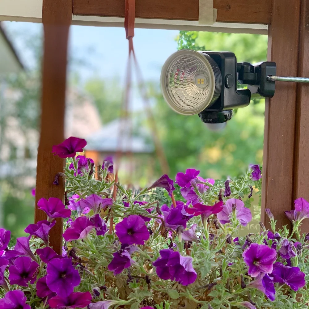 Прожектор с датчиком движения, на батарейках Ritex LED-135, 300Lm, 3.5Вт, длительное время работы, универсальное крепление