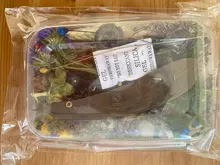 1 caja de hojas de flores prensadas reales, resina de margaritas secas, calcomanías de belleza para uñas, moldes de epoxi, embellecedores para fabricación de joyas