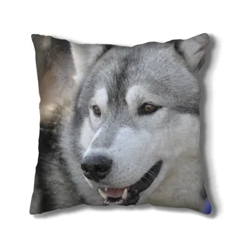

Pillow 3D Husky