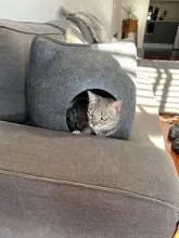 Cat Bed Bed-House Cushion Detachable Pet-Accessories Felt Natural For Pets with Dark-Gray