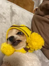 Pet-Puppy-Accessories Socks Hats Cat-Products Dogs-Knitted Small Chihuahua Little Winter