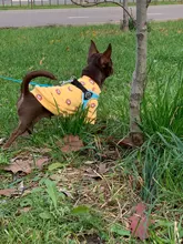 Warm Dog Sweatshirt Puppy-Clothes Dog-Costume Soft-Fleece Chihuahua Winter Yorkshire