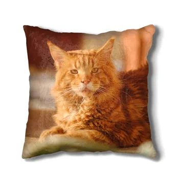 

Pillow 3D Red Cat