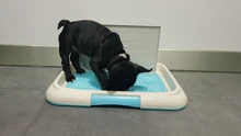 Potty Toilet-Mat Pee-Pad Pet-Toliet-Training Trainer Dog-Pad-Tray HOOMIN Portable 