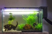 Fish-Tank-Decoration Aquarium Water-Grass Artificial Green New Plants Purple 37CM Viewing