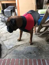Ropas impermeables para perro para perros pequeños de invierno cálido abrigo para perros ropa de perro grande cachorro Pug chaleco Bulldog francés chaqueta para Chihuahua
