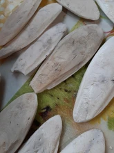 Cuttlefish Products Birds Tortoise Bone Chew-Toy Parrot Health-Care for Pet-Budgie Reptiles