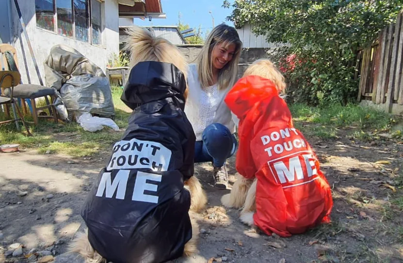 Köpek Yağmurluk