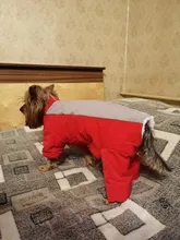 Winter Overalls for Dogs Warm Waterproof Pet Jumpsuit Trousers Male/ Female Dog Reflective