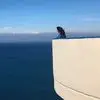 i***a
