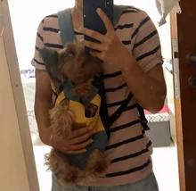 Bags Backpack Pet-Dog-Carrier Travel-Products Small Dog Chihuahua Outdoor Breathable