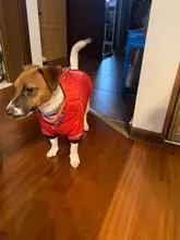 Coat Puppy Clothing Pet-Dog-Jacket Dogs Chihuahua Yorkshire Hoodies Outfit Small Winter