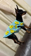 Ropa con estampado de patos para perros pequeños, Camiseta de algodón para cachorros y gatos, chaleco, camisas con perro Chihuahua
