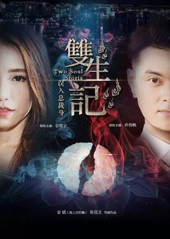 双生记之误入总裁身的海报
