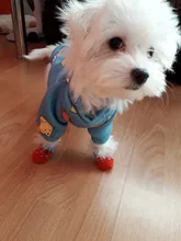 Socks Dog-Shoes Paw-Protector Chihuahua-Boots Puppy Small Dogs Winter Anti-Slip for Indoor-Wear