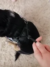 Seat-Belt Harnesses Stunt Puppy Bull Small-Pet Terrier Printed Dogs Chihuahua Shih Tzu